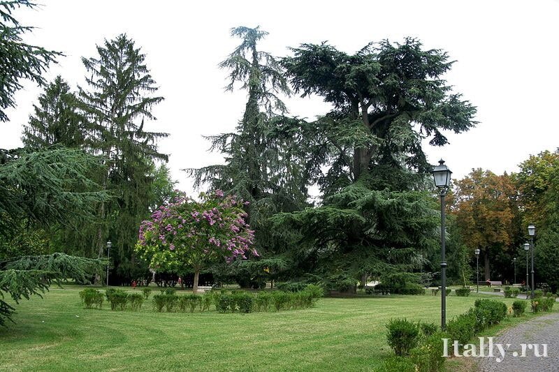 Ferrara park min
