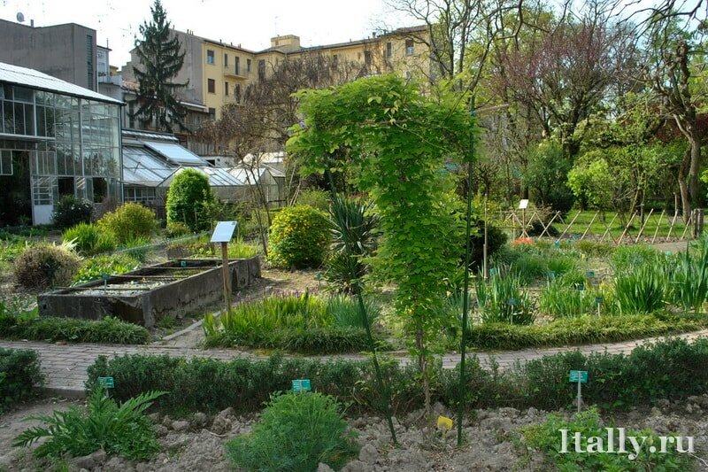 Orto botanico Ferrara min